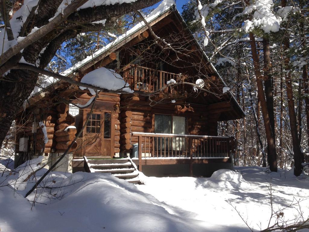 Holiday Cottage Green Valley Hakuba Extérieur photo