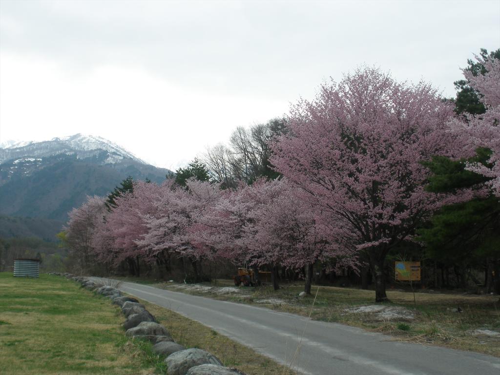 Holiday Cottage Green Valley Hakuba Extérieur photo