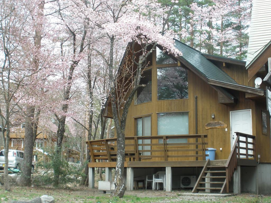Holiday Cottage Green Valley Hakuba Extérieur photo
