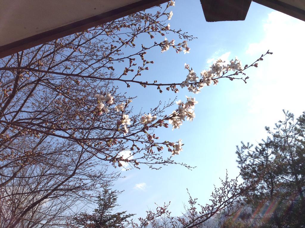 Holiday Cottage Green Valley Hakuba Extérieur photo